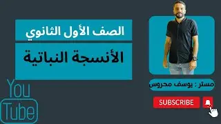 الأنسجة النباتية
