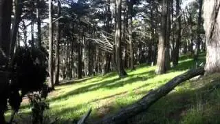 video1.mov: Walk through Presido along Lobos Creek Trail...