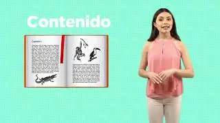 Elementos de un compendio