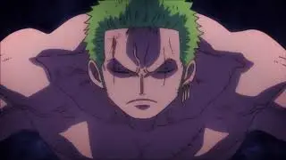 one piece zoro vs hawkins fight