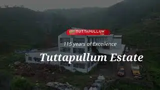 Tuttapullum Tea Estate Profile