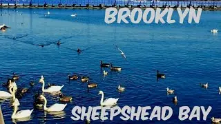 Walking tour of sheepshead Bay Brooklyn.