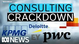 Will the government's consulting crackdown really change anything? | The Business | ABC News