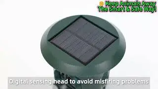 solar animal repellent 