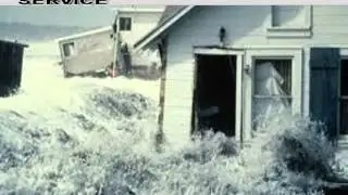 Black Mold, Fungus, Toxic Mold Removal Cleanup / Testing CANTON CT 06019   Companies
