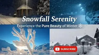 Snowfall Serenity &ndash; Experience the Pure Beauty of Winter ❄️ #Snowfall#WinterBeauty#SnowfallSerenity
