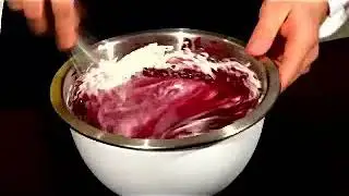 Gobi Raspberry Entremet