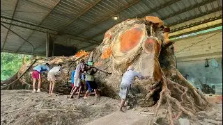 Penemuan benda pada Kayu Trembesi bolong Tersembunyi Terungkap Saat Proses Penggergajian