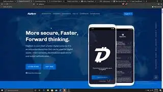 DigiByte Top Ten Cryptocurrency Future Parallel to Bitcoin Hitting $100K