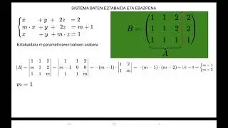 Sistema Baten eztabaida eta ebazpena