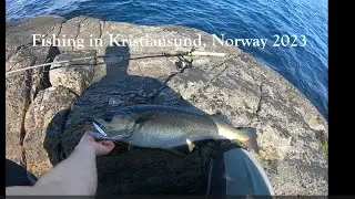 I used my trout fishing gear in the Norwegian north sea!