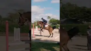 We love a good gymnastic exercise 👌 #EquestrianMasterclass #HorseJumping #NoelleFloyd