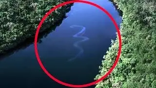 АМАЗОНКА. САМЫЕ ЖУТКИЕ И ОПАСНЫЕ ЖИВОТНЫЕ ! AMAZON. THE MOST CORRECT AND DANGEROUS ANIMALS!