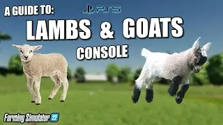 Руководство по: Lambs & Goats на консолях &mdash; Ballyspring &mdash; Farming Simulator 22 &mdash; PS5.