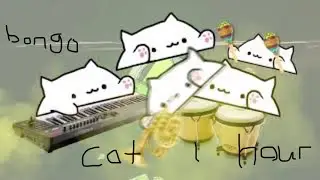 Bongo Cat Meme (1 hour)