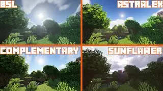 BSL vs Astralex vs Complementary vs Sunflawer | Shader Comparison