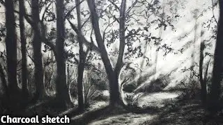 Easy charcoal pencil Sketch tutorial | Pencil Drawing Tutorial | Sunshine Forest Drawing 목탄 연필 스케치