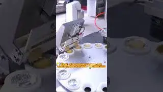 Fully Automatic Egg Tart Crust Production Line