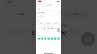 Setting Up a Scheduled Timer with the Kasa Smart Plug