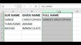 Joining names or words together from different cells in Microsoft excel