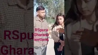 rspura wetland Gharana tourist place#birds hai na #video you are #dekhegi you are always welcome 🤗🤗🤗