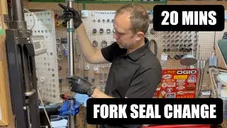 Real Time Fork Service (including seals)