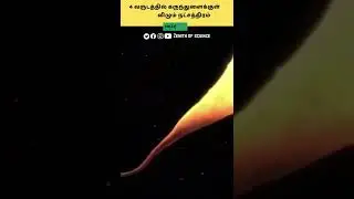 4 வருடத்தில் கருந்துளைக்குள் விழும் நட்சத்திரம்  #galaxy #sun #earth #star #logabalakarthikeyan