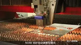 WSX Laser