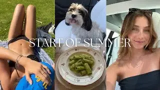 START OF SUMMER | last ucla final, cooking & being home