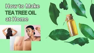 How to Make Tea Tree Oil At Home