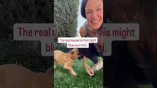 This reframe of boundaries will blow your mind!!