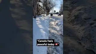 &ldquo;Walking Through Canada on a Perfect Sunny Day 🇨🇦☀️&rdquo;#youtubeshorts #shortsfeed #viralshorts