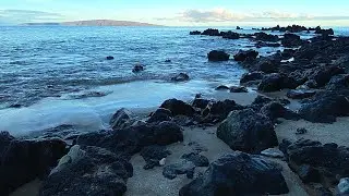 Oceanic Oasis Nature Sounds