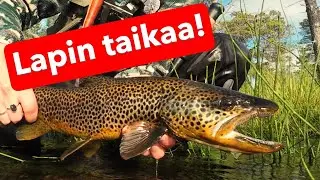 LAPPI TARJOILI PARASTAAN!