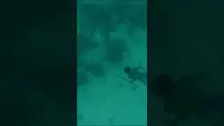 Exploring the Sea of Diving Without Gear