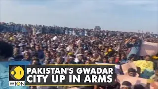 Rights movement for Gwadar demands end to drug trafficking | Pakistani City | World News | WION