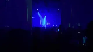 CAROLINA CALLUSH - CROW (LAB MADRID)