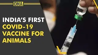 India&rsquo;s first Covid-19 vaccine for animals: How it works and why the need was felt
