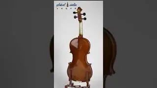 Hand-carved Solid Wood Starter Violin Outfit Global Violin DV-204