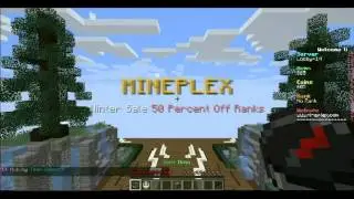 solo minecraft