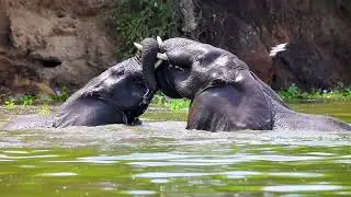 Uganda adventure safari