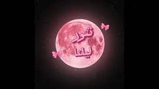 Moonlight | ضوء القمر