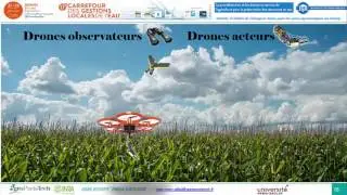 Intérêts et limites de l’imagerie drone pour les suivis agronomiques au champ