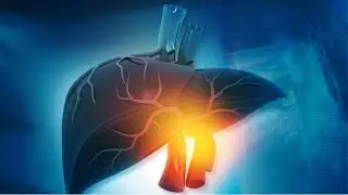 HOW HOLDING ON TO ANGER PHYSIOLOGICALLY AFFECTS YOUR LIVER