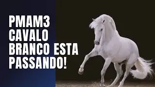 PMAM3 O CAVALO BRANCO ESTA PASSANDO!