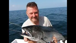 Lake Ontario Tributary King weekend#ontario#salmon#KZtheFisherOutdoors#fishing#nyfishing