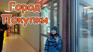В город по делам. Загранпаспорт. Жуткий мороз. И др. (01.26г.) Семья Бровченко.