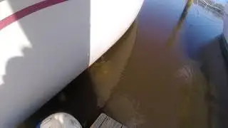 9 28 17 DS Diving Turtle lol