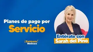 PFFS: Planes de Pago por Servicio