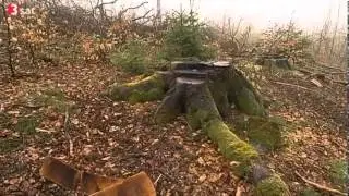 Hessenforst